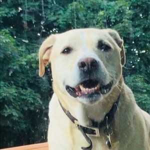 Meet your Posher, Lilly